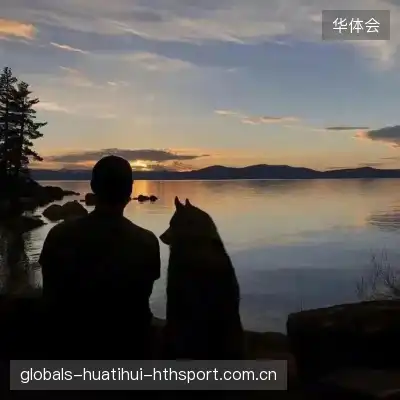 齐鹰晗